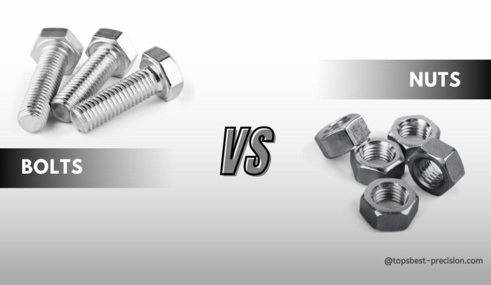 Nuts vs Bolts